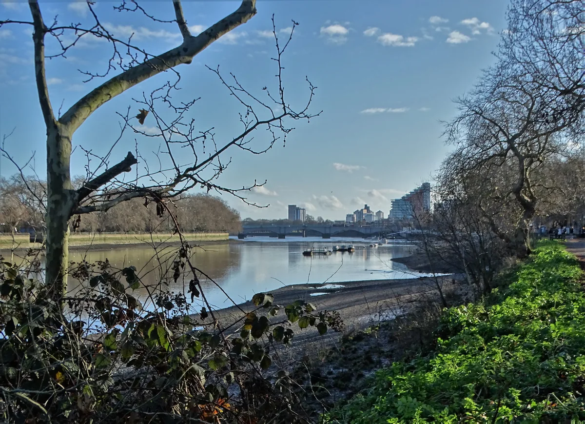 The Thames looking towards Putney Bridge