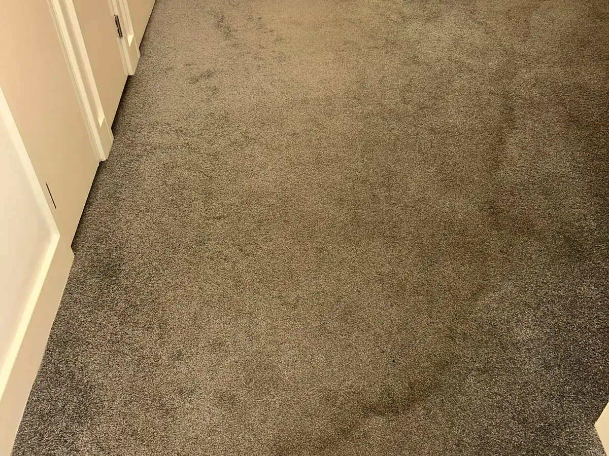 Wide communal floor with soiling worked across the full width of the carpet