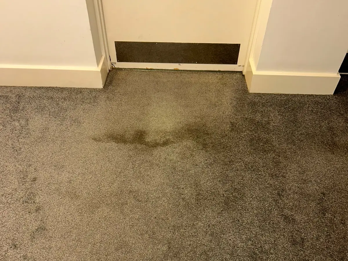 Communal carpet at a flat doorway, soiling spreading out from the threshold and the matting well