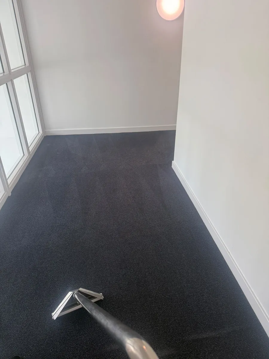 Extraction wand on dark communal carpet beside a window